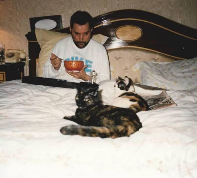 Freddie Mercury en la cama con sus mascotas