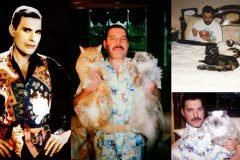 Freddie Mercury y los gatos