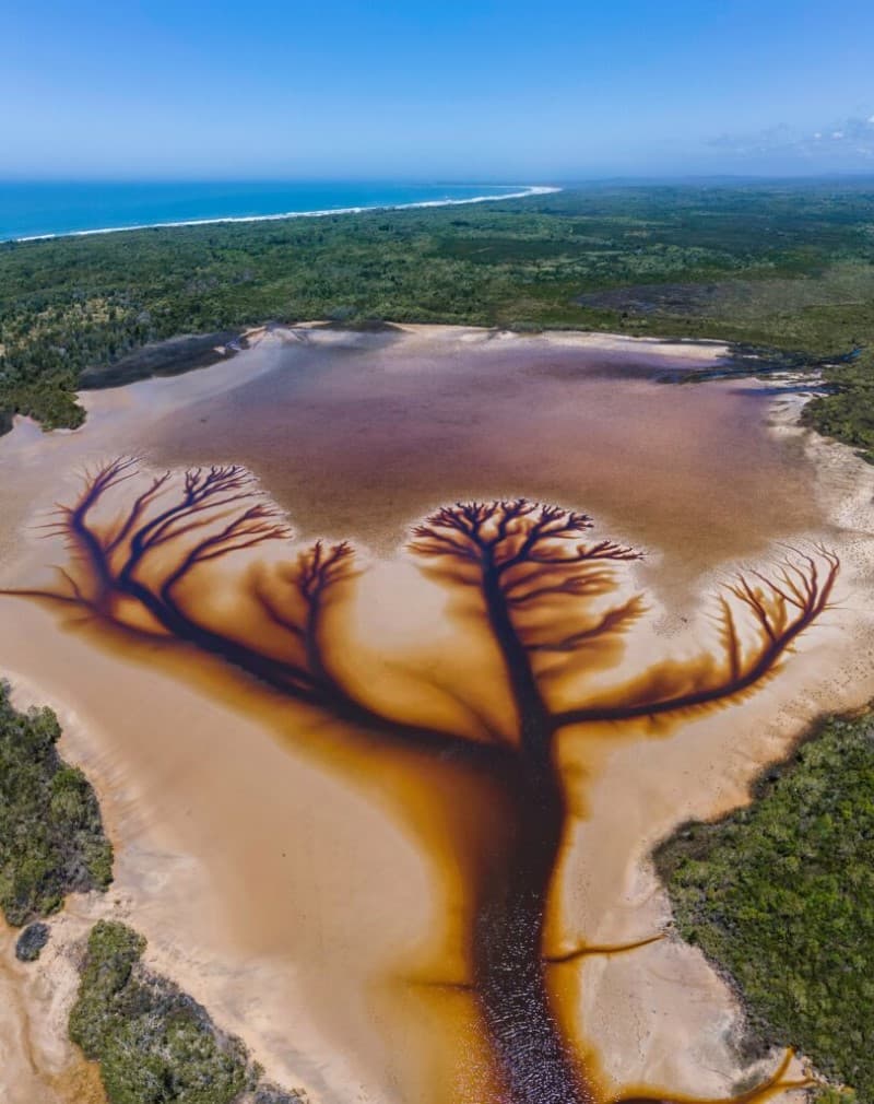lago Cakora arbol de la vida en Australia (8)