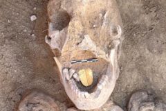 momia con lengua de oror