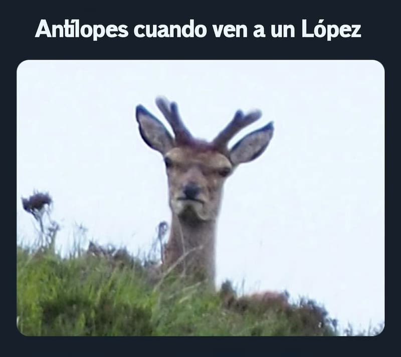 Antílopes cuando ven a un López meme(1)