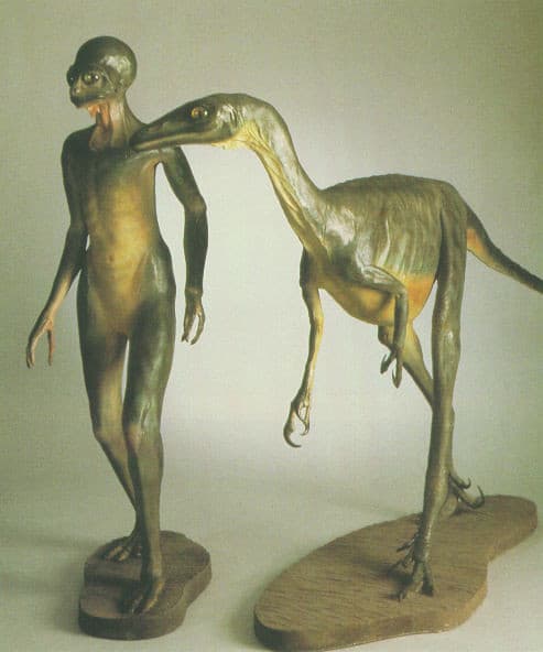 Homosaurus and Troodon(1)