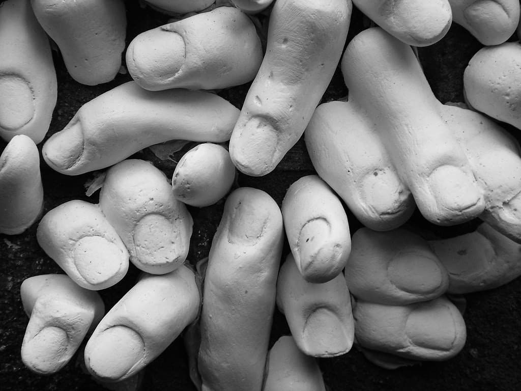 dedos humanos