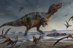 dinosaurio depredador más grande de Europa espinosaurio gigante playa