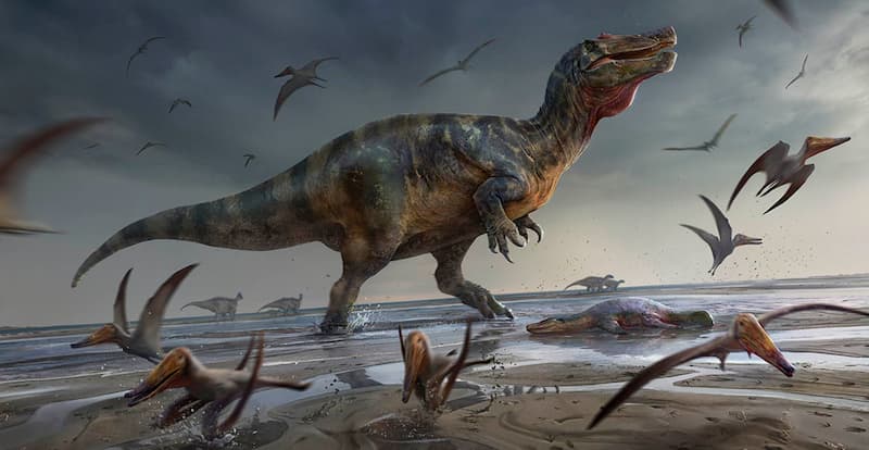 dinosaurio depredador más grande de Europa espinosaurio gigante playa(1)