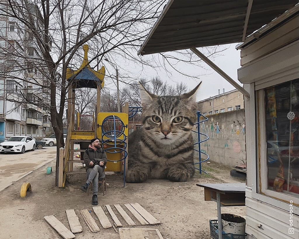 Gatos gigantes en escenarios urbanos (11)