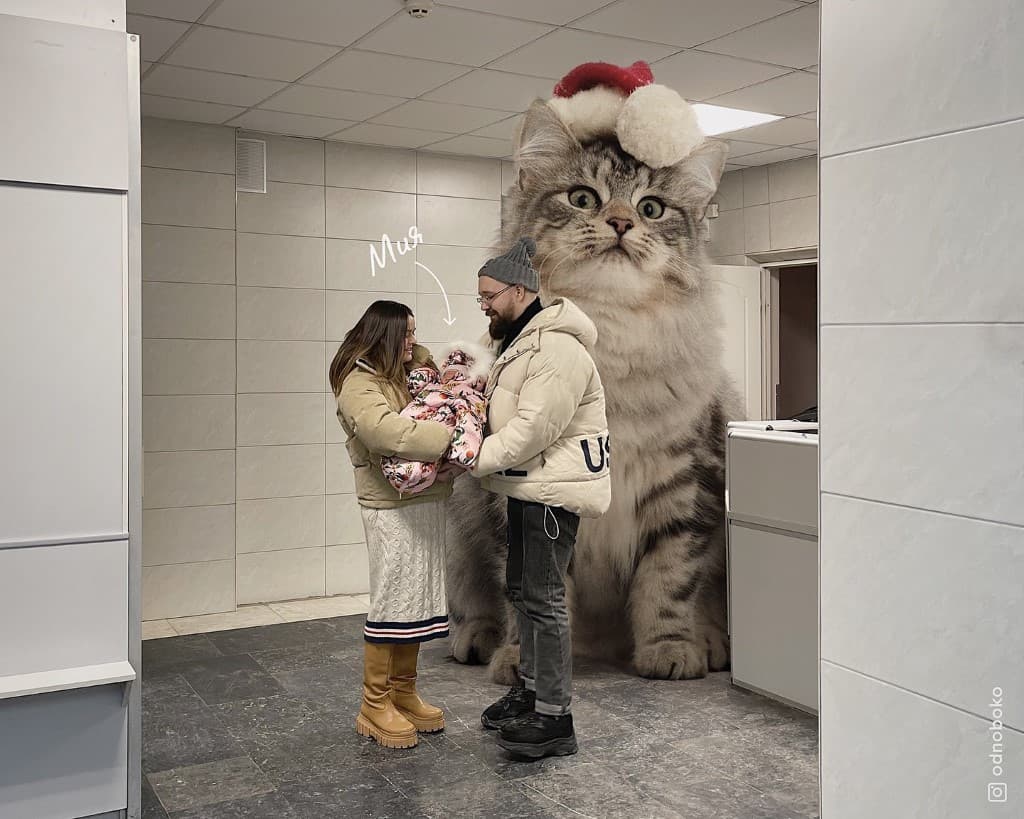 Gatos gigantes en escenarios urbanos (20)