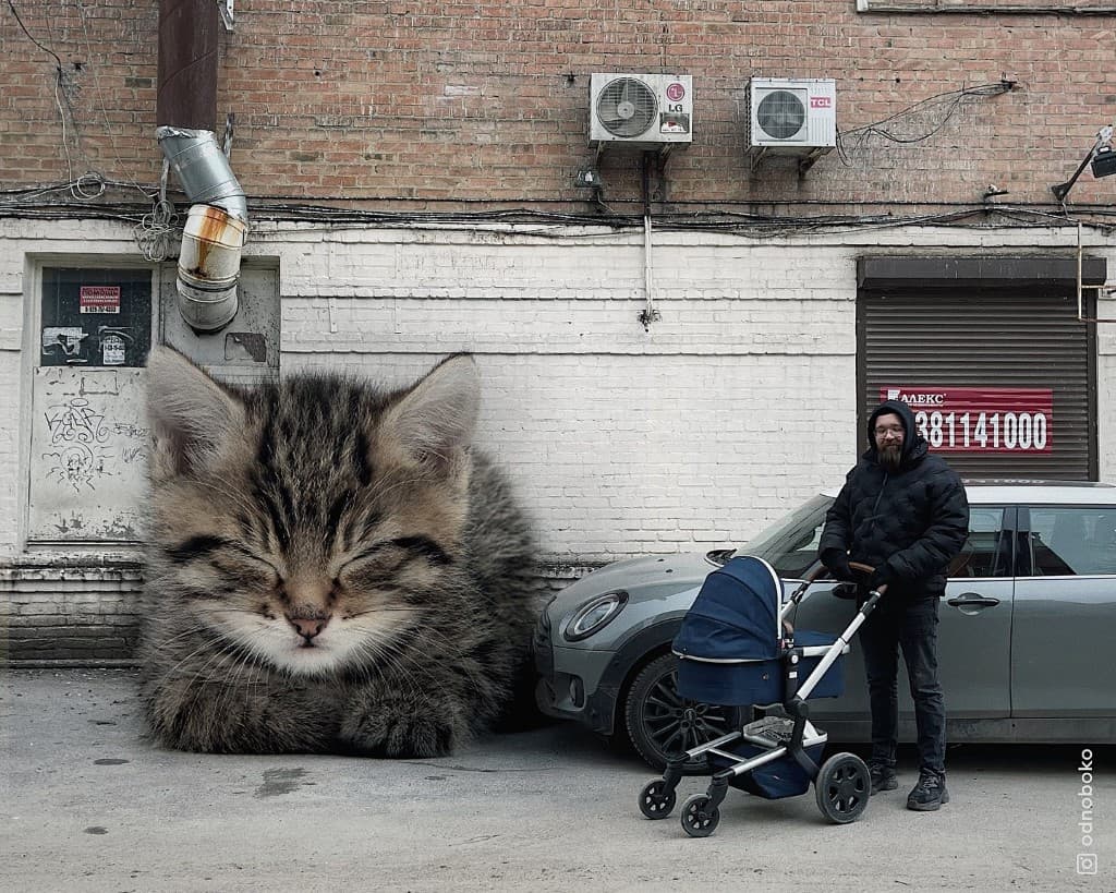 Gatos gigantes en escenarios urbanos (21)