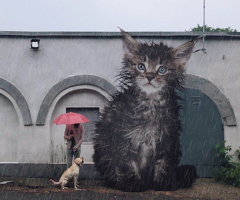Gatos gigantes en escenarios urbanos (6)