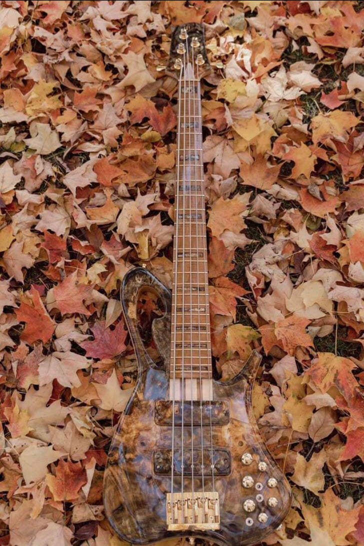 guitarra efecto patron de hojas