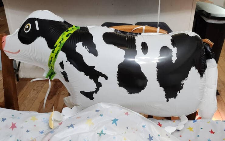 vaca inflable con patron de italia