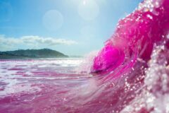 mar se pintó de rosa