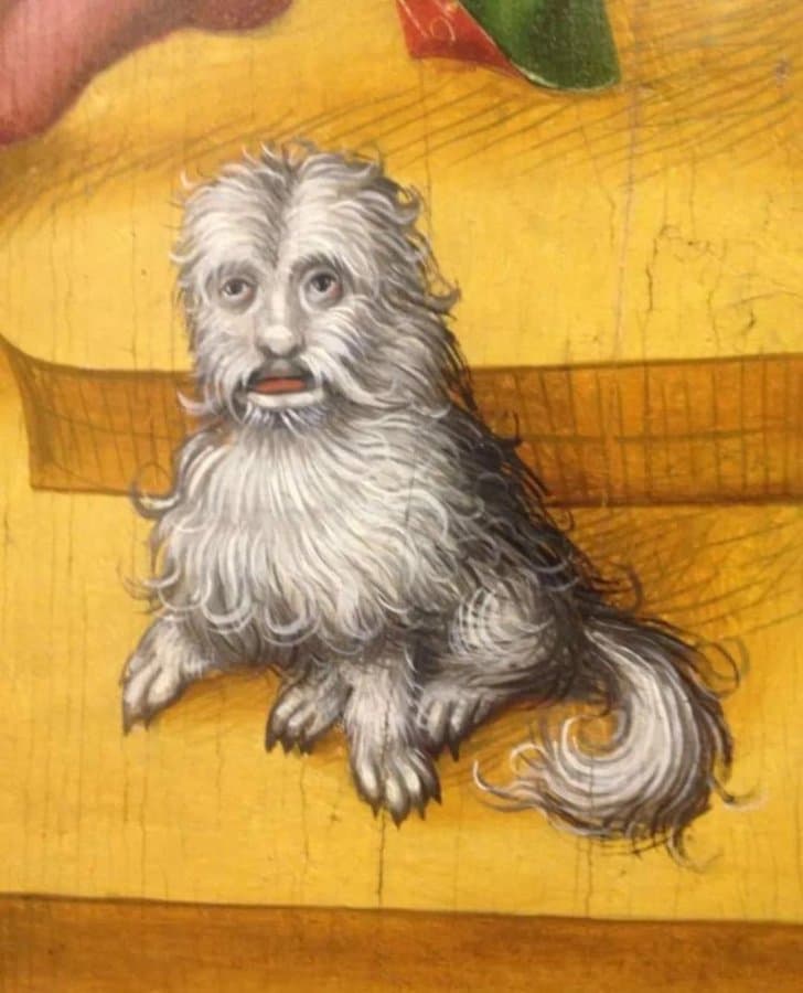 dibujos mediavales divertidos perro con rostro humano