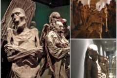 Momias de Guanajuato podrían estar infectando humanos
